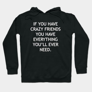 If you have crazy friends you have everything you’ll ever need Hoodie